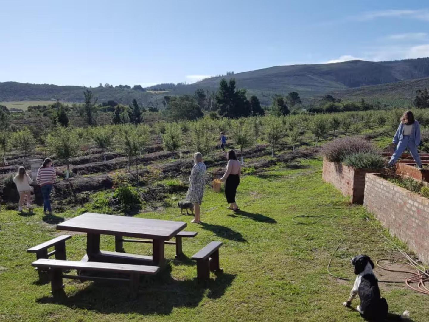 20 Good Summers Farm Stay The Crags Extérieur photo