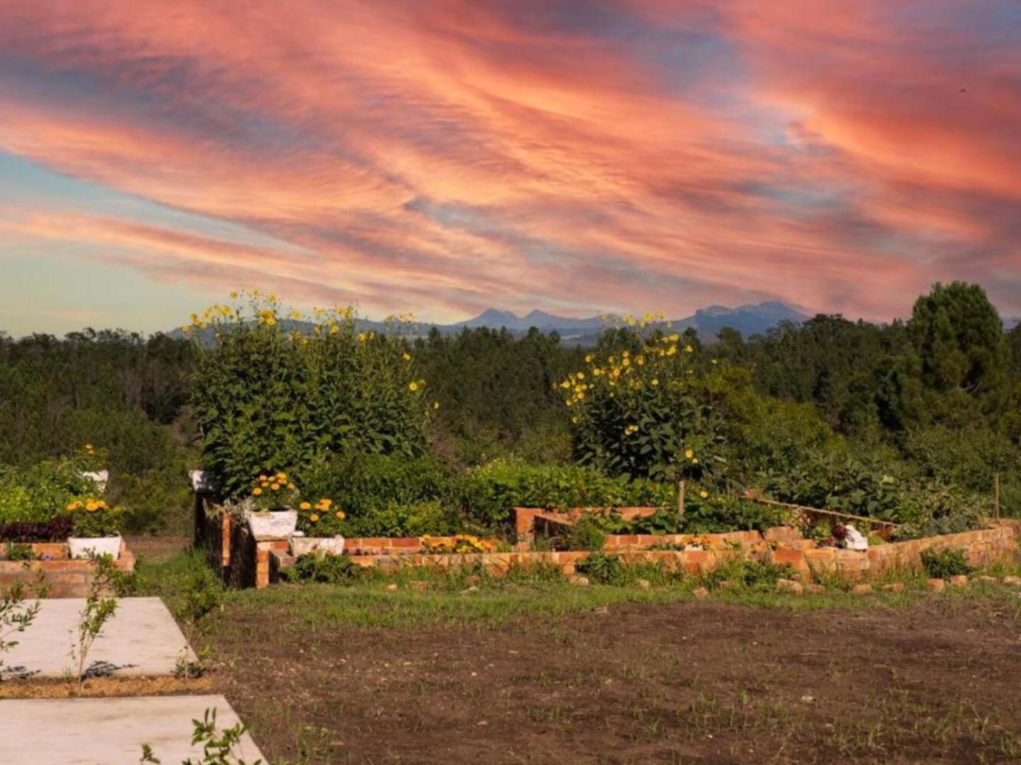 20 Good Summers Farm Stay The Crags Extérieur photo