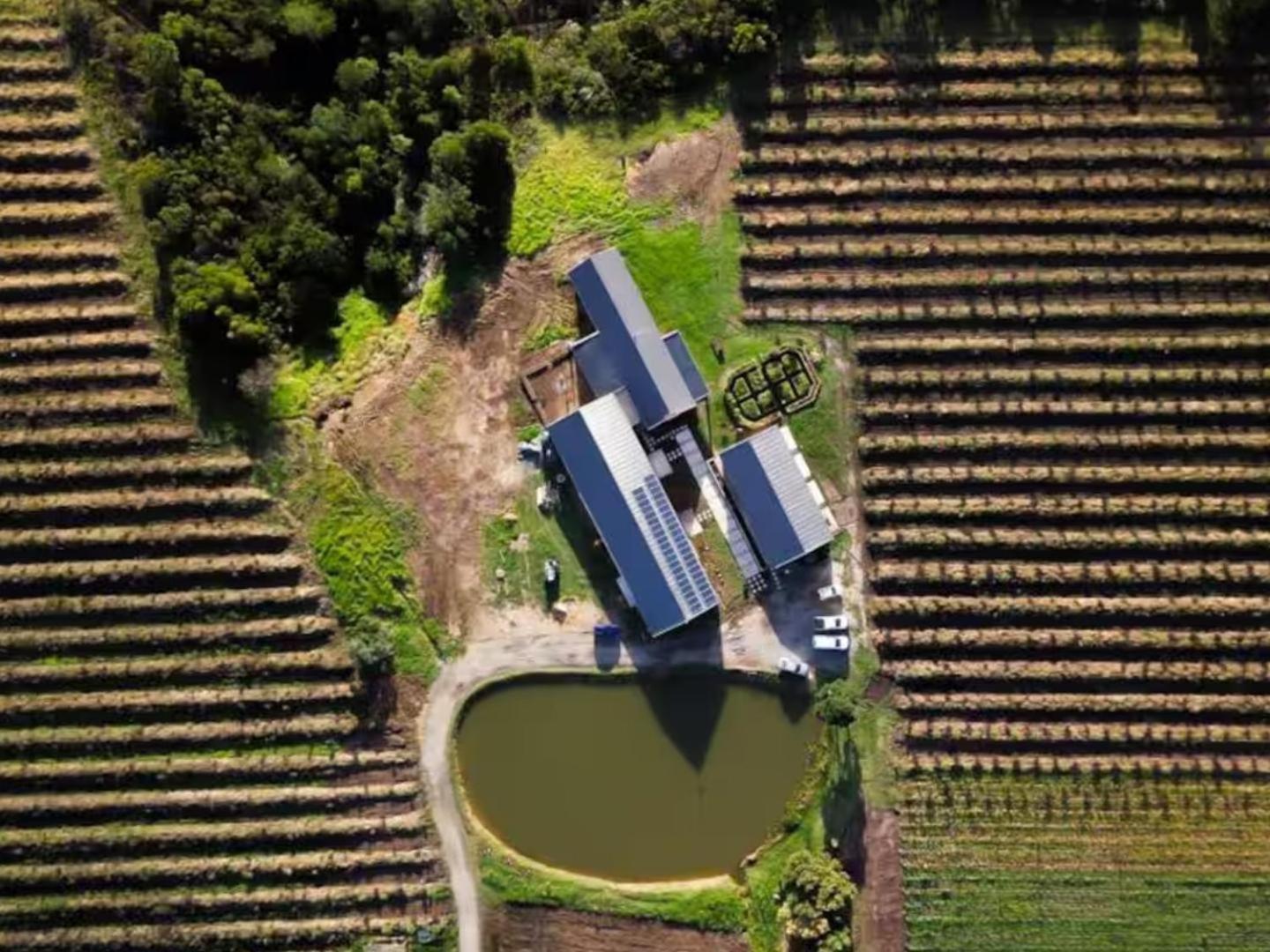 20 Good Summers Farm Stay The Crags Extérieur photo